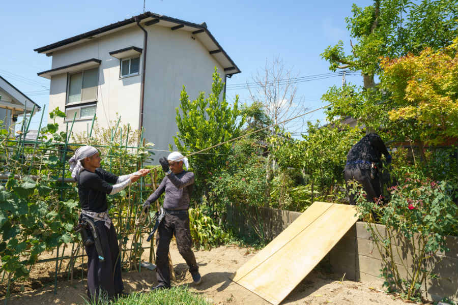 庭木の伐採 抜根の人気業者 相場検索 ユアマイスター