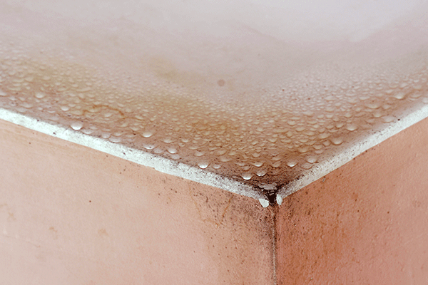 お風呂の天井 壁 床のお掃除に 毎日たった3分のカビ予防が効く Yourmystar Style By ユアマイスター