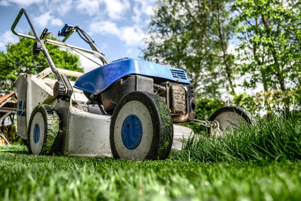 芝生のお手入れはしっかり刈って水をあげる 時期を守って害虫対策も Yourmystar Style By ユアマイスター