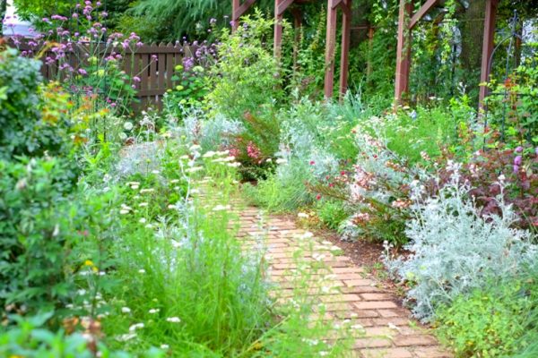 ガーデニングのアイデアはsnsから 統一感のある素敵なお庭を作ろう Yourmystar Style By ユアマイスター